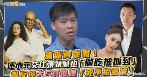 葛斯齐最新爆料视频回放,事件真相与幕后黑幕