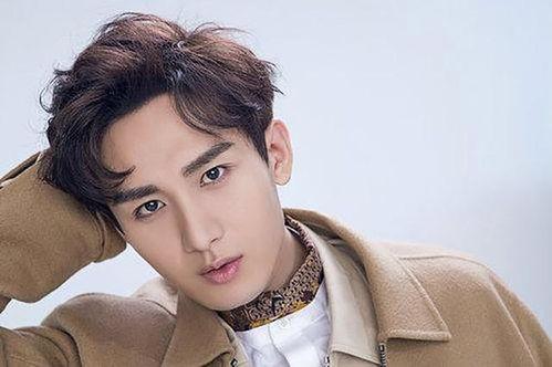 成毅主播爆料最新消息新闻,揭秘娱乐圈热点事件