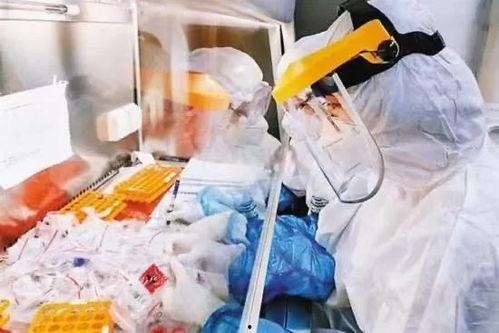 病毒实验室最新疫情爆料,病毒实验室最新爆料揭示病毒变异与传播趋势